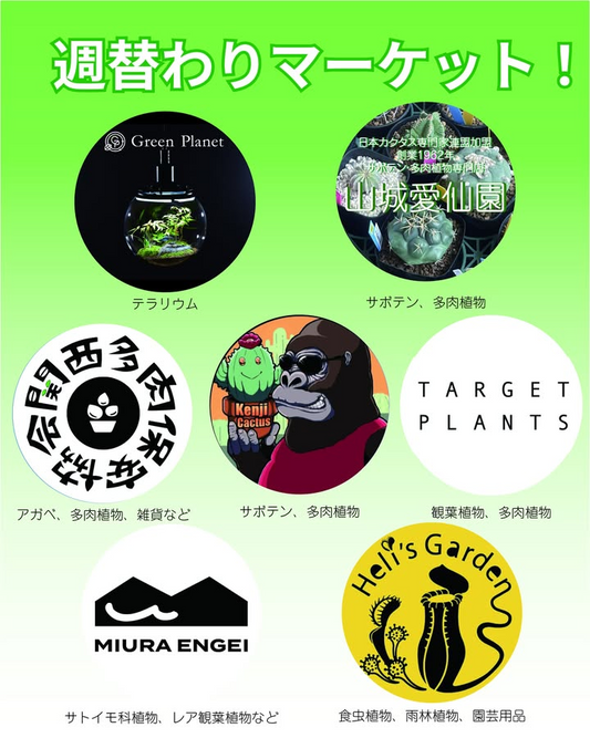 淡路夢舞台室内園芸の週替わりマーケット2026が開催、サボテンや多肉植物など週替わり販売