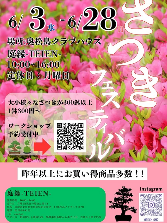 さつきフェスティバル2026が奥松島クラブハウス庭縁で開催、300鉢以上のさつきを販売