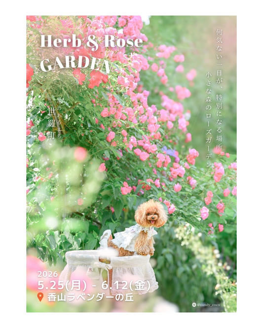 HerbandRoseGARDEN2026が香山ラベンダーの丘で開催、ハーブと薔薇のガーデン体験を展開