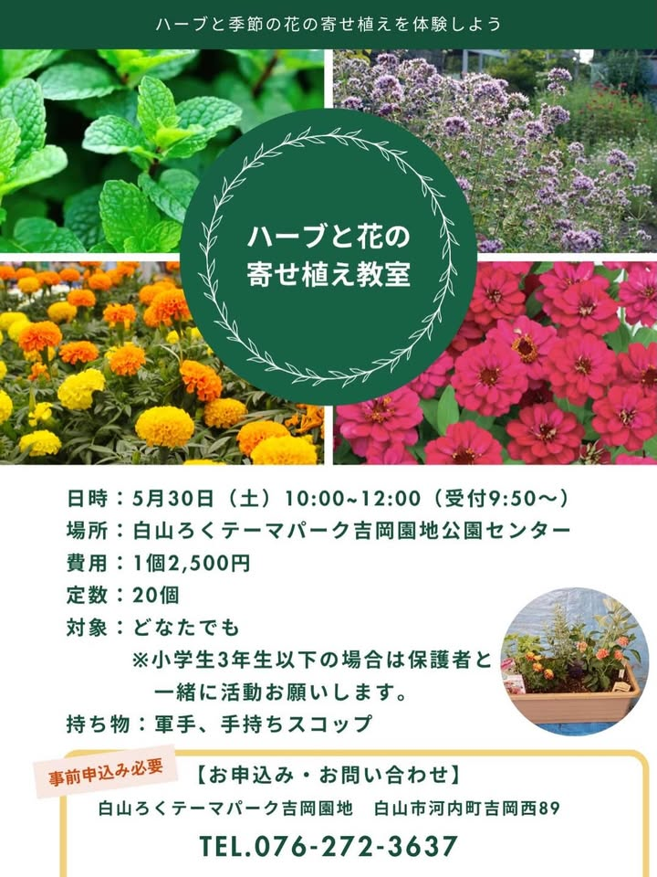 ハーブと花の寄せ植え教室2026が白山ろくテーマパークで開催、季節の花を使った園芸体験を実施