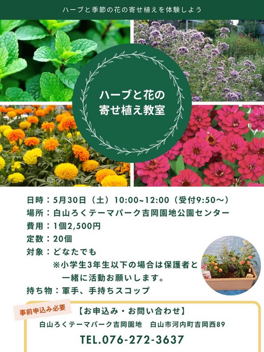ハーブと花の寄せ植え教室2026が白山ろくテーマパークで開催、季節の花を使った園芸体験を実施