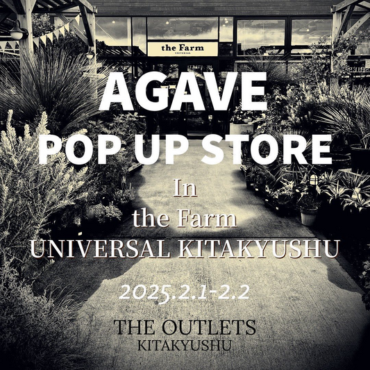 the Farm UNIVERSAL KITAKYUSHUでアガベポップアップストアを開催、専門店による展示販売で植物愛好家に向けた特別な空間を提供