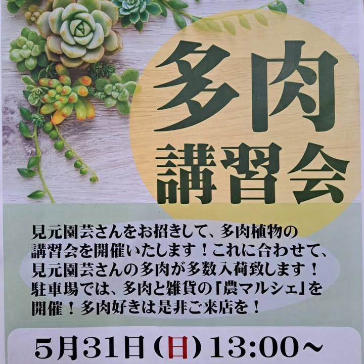 農マル園芸吉備路農園が多肉講習会2026を開催、見元園芸の多肉入荷と農マルシェを実施