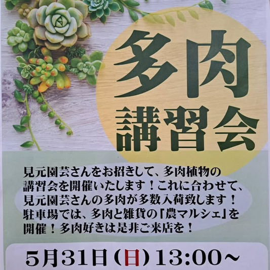 農マル園芸吉備路農園が多肉講習会2026を開催、見元園芸の多肉入荷と農マルシェを実施