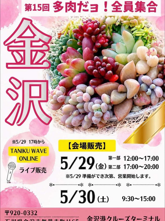 第15回多肉だヨ全員集合in金沢2026が開催、金沢港クルーズターミナルで多肉植物を会場販売