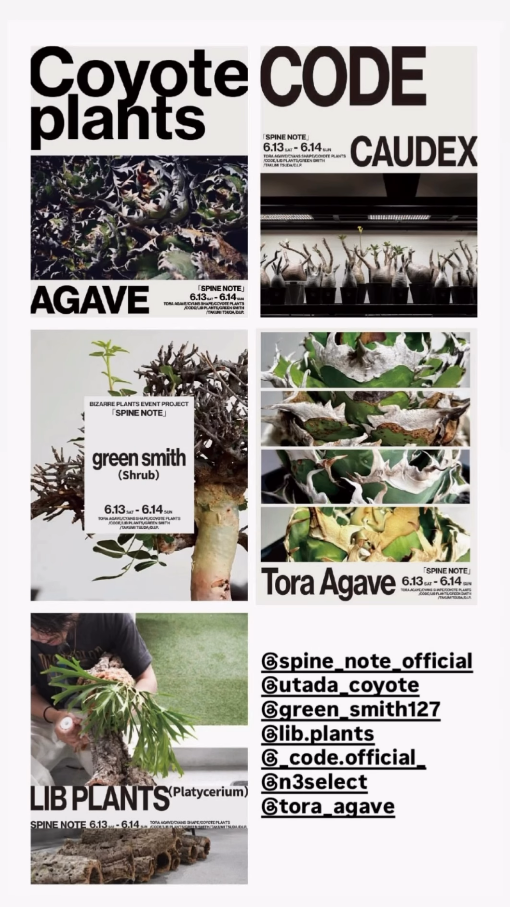 AnvireNoteでSPINE NOTE2026を開催、AgaveとCodexや植物関連作品の専門ショップが集結