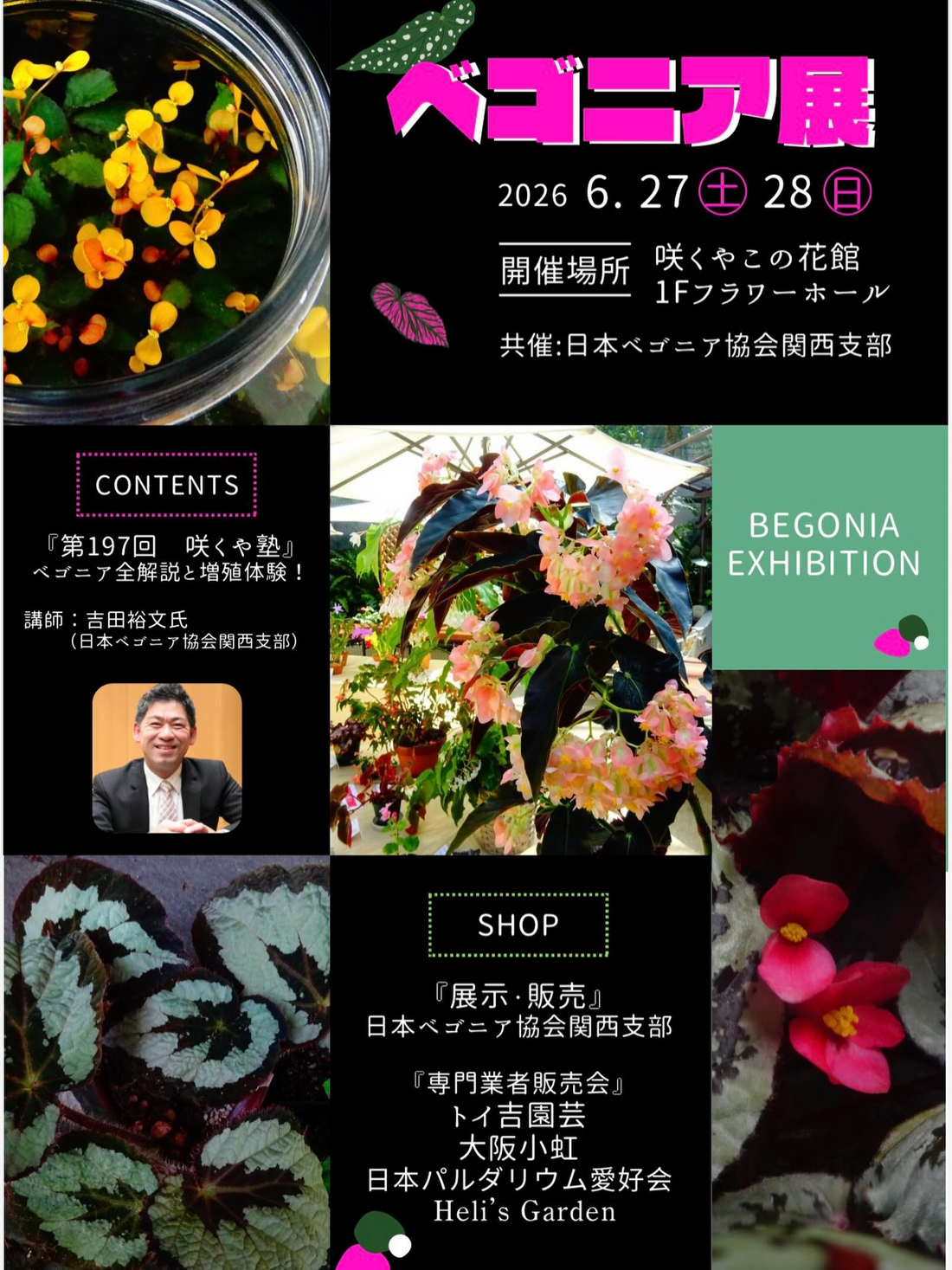 咲くやこの花館がベゴニア展2026を開催、単独開催で展示販売と第197回