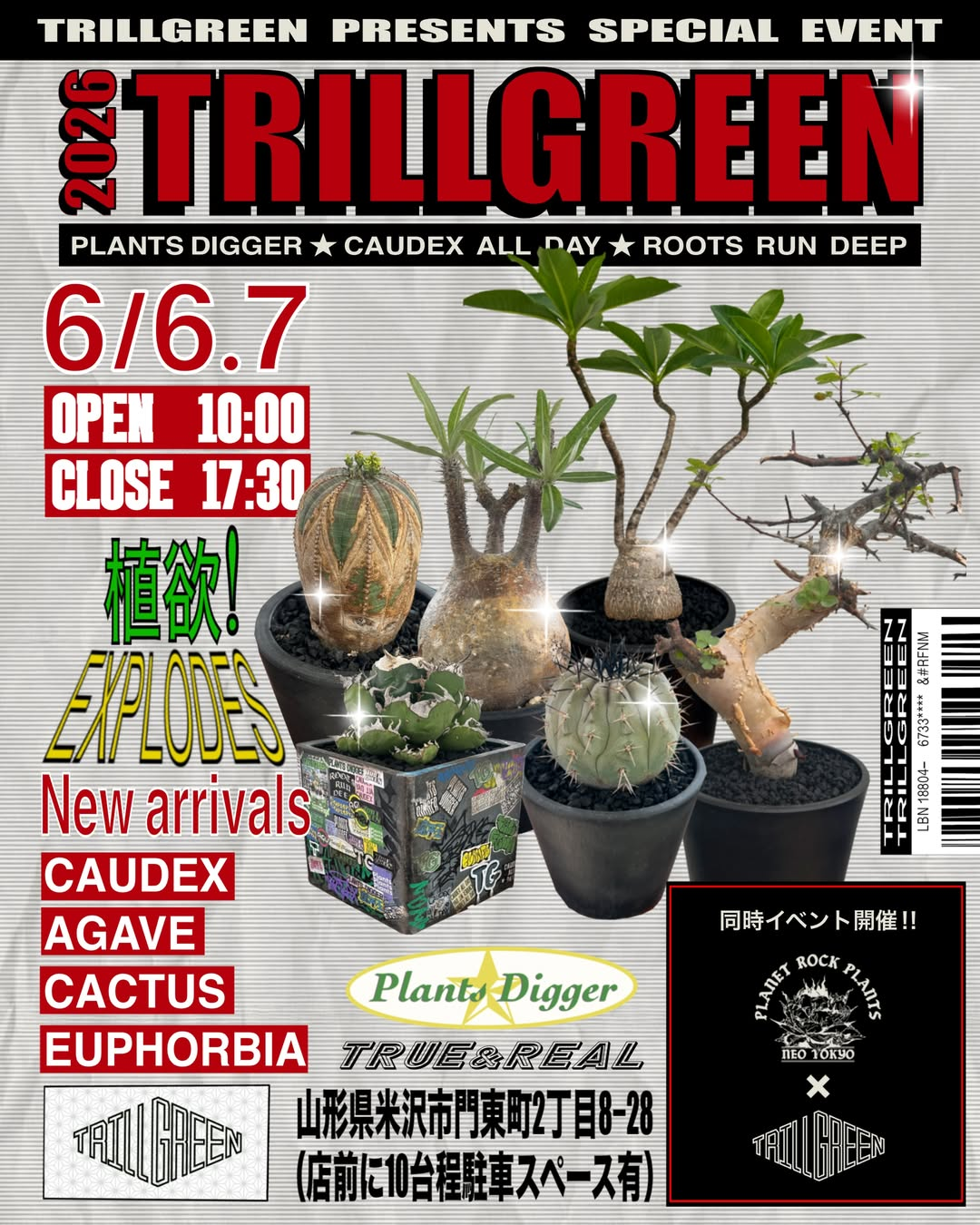 TRILLGREENがSPECIAL EVENT 2026を開催、CAUDEXやAGAVEとPLANET ROCK PLANTS同時イベントを展開