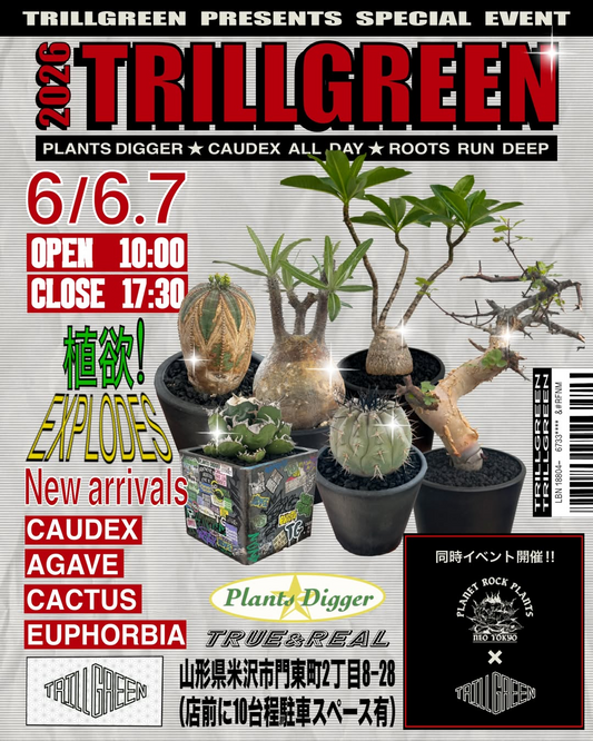 TRILLGREENがSPECIAL EVENT 2026を開催、CAUDEXやAGAVEとPLANET ROCK PLANTS同時イベントを展開