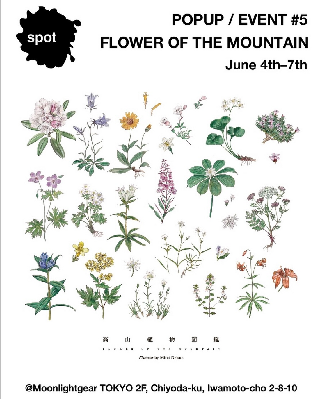 ムーンライトギア東京店がSpot POPUP 5 2026を開催、高山植物図鑑の原画展示と靴下販売を展開