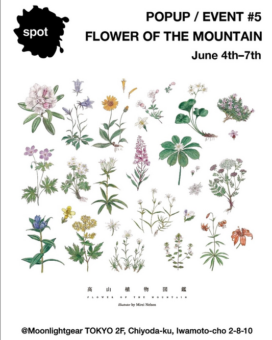 ムーンライトギア東京店がSpot POPUP 5 2026を開催、高山植物図鑑の原画展示と靴下販売を展開