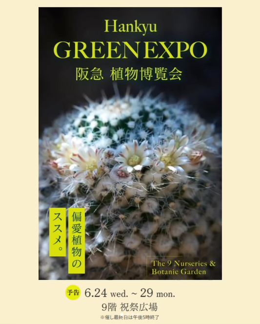 阪急うめだ本店がHankyu GREEN EXPO阪急植物博覧会2026を開催、珍奇植物や多肉植物の展示販売を展開