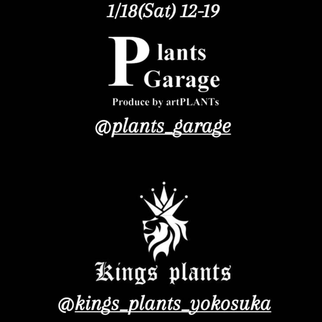 Kings plantsがPLANTS GARAGEで特別販売イベントを開催、アガベと珍しい植物の展示販売で植物愛好家に新たな選択肢を提供