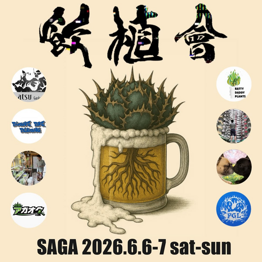 GREEN BASE AWAJI2026がS BRICKで開催、アガベやビザールプランツとワークショップが集結
