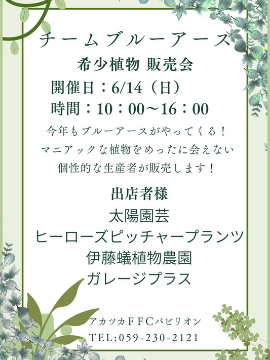 アカツカFFCパビリオンでチームブルーアース希少植物販売会2026を開催、蘭やビカクシダと食虫植物が集結