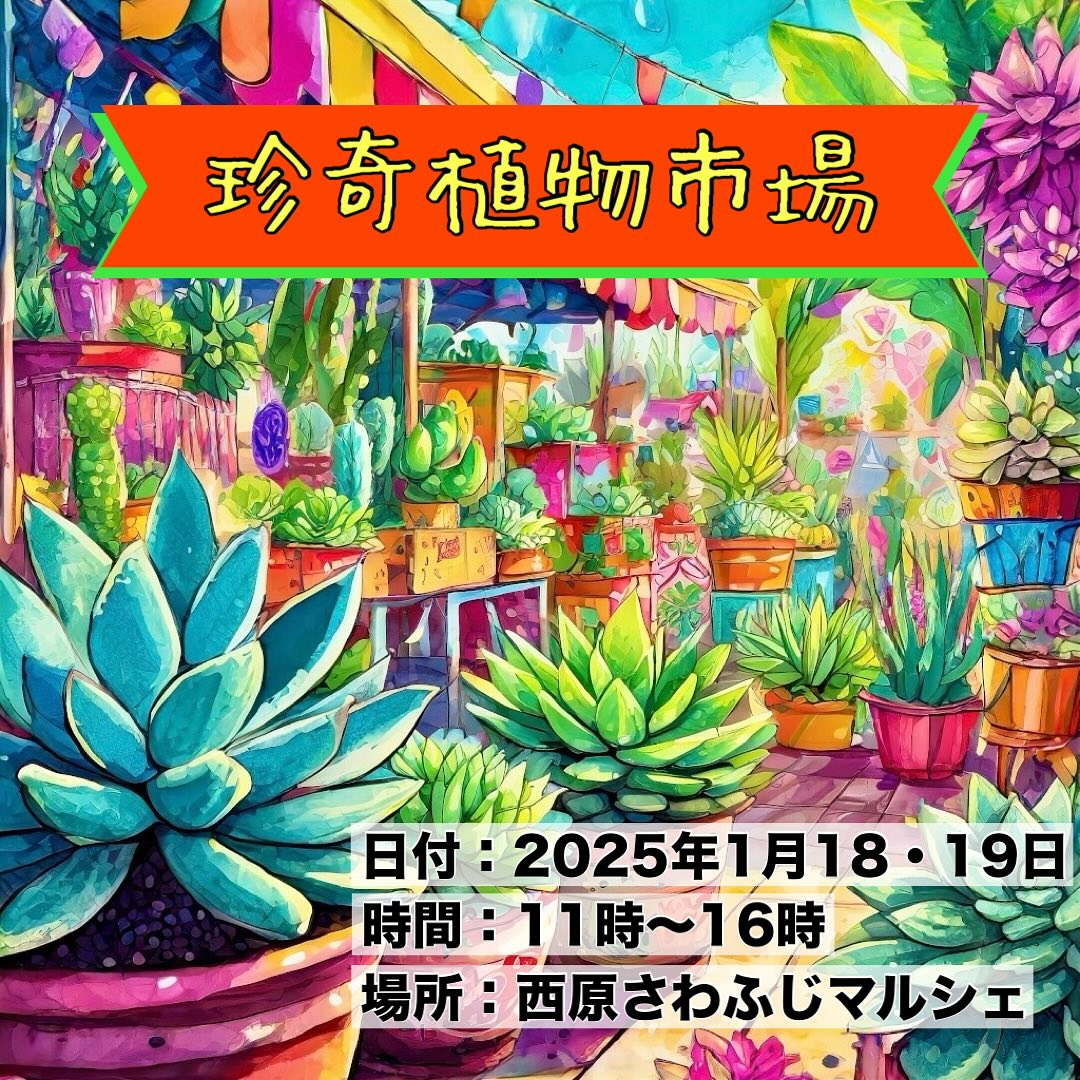 西原さわふじマルシェで珍奇植物市場Vol.5を開催、33業者による多肉植物とアガベの展示販売で植物愛好家の交流促進へ