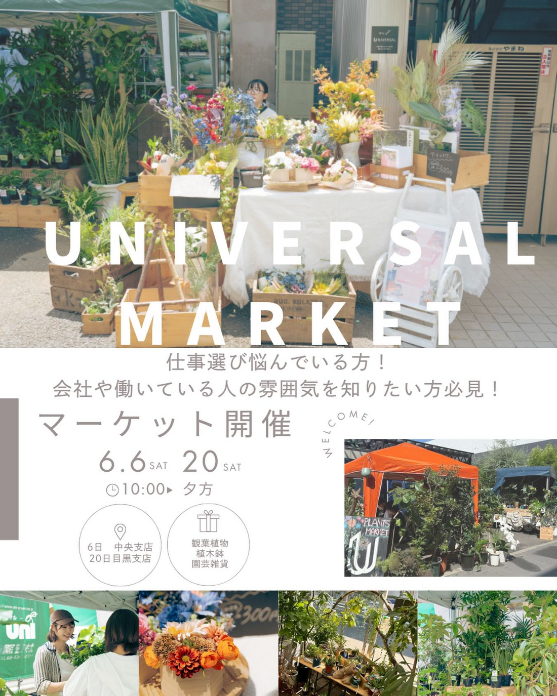 UNIVERSALがUNIVERSAL MARKET2026を開催、観葉植物や園芸雑貨の販売と仕事理解の機会に