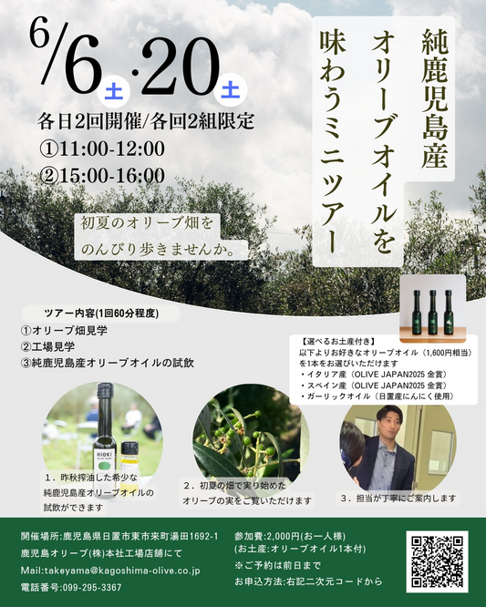 鹿児島オリーブが純鹿児島産オリーブオイルミニツアー2026を開催、畑見学と試飲を実施