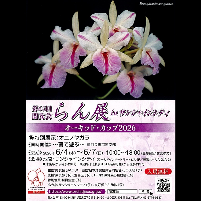 蘭友会が第65回らん展オーキッドカップ2026を開催、特別展示