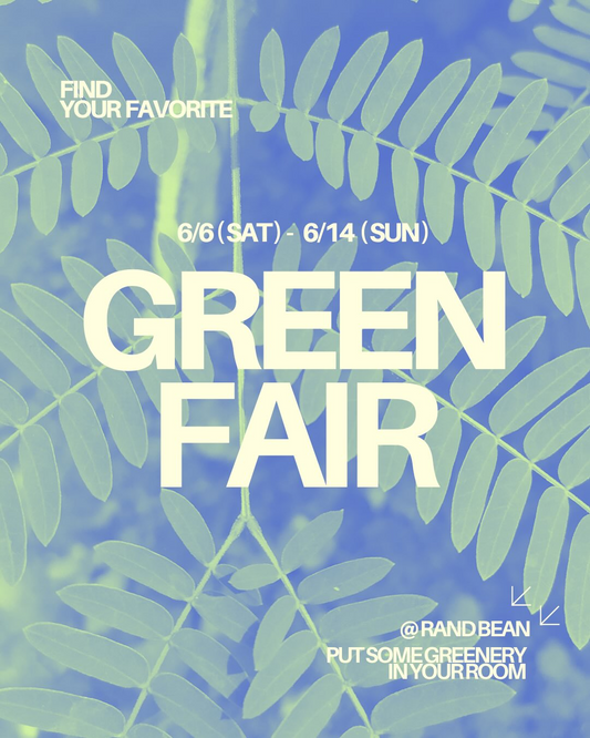 RandBEANがGreen FAIR第2弾2026を開催、観葉植物や塊根植物と鉢を販売