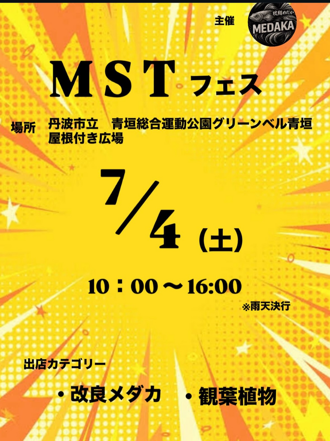 丹波市で第一回MSTフェス2026を開催、改良メダカや観葉植物とビカクシダが集結