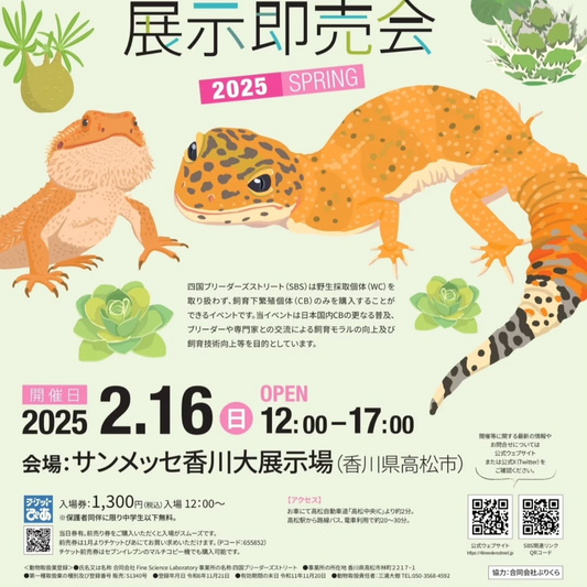 四国ブリーダーズストリートspringが開催決定、爬虫類とビザールプランツの展示販売で専門家と愛好家の交流促進へ