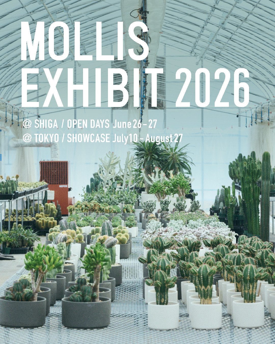KINTO STORE TokyoでMOLLIS EXHIBIT 2026を開催、植物展示販売と叢の空間演出を展開