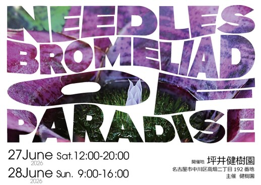 坪井健樹園でBOP with NEEDLES2026を開催、国内外ブリーダーのブロメリアが集結