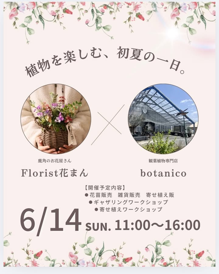 botanicoで植物を楽しむ初夏の一日2026を開催、Florist花まんの販売とワークショップを実施