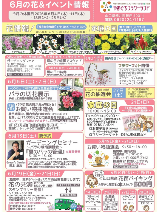 やまぐちフラワーランドが2026年6月の花とイベント情報を公開、花苗企画や家庭の日を実施
