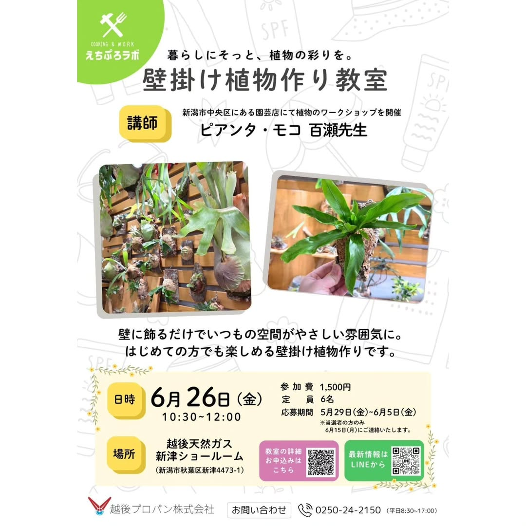 越後天然ガス新津ショールームHINTOで壁掛け植物作り教室2026を開催、ピアンタ・モコ百瀬先生が講師を担当