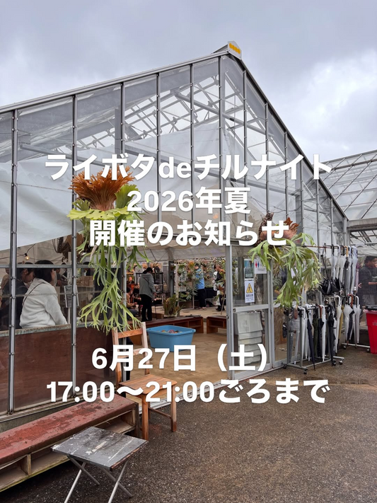 ライボタボタライでライボタdeチルナイトVol5 2026を開催、ビカクシダ好きの交流会を実施
