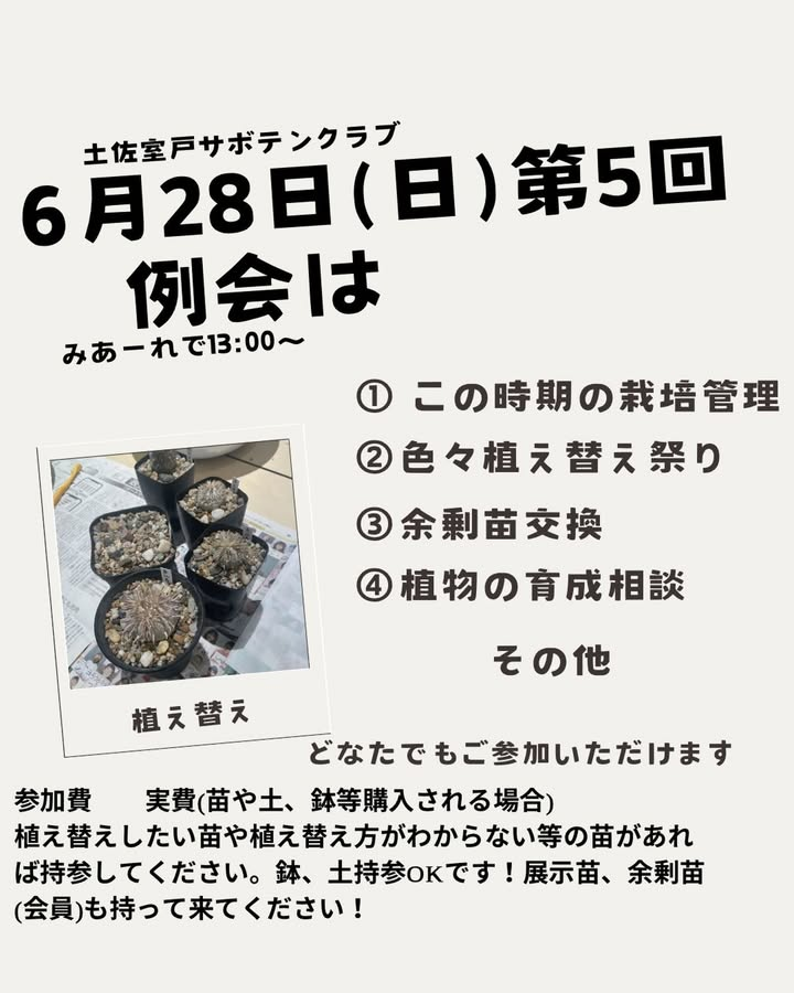 土佐室戸サボテンクラブが第五回定例会2026を開催、植え替え祭りや余剰苗交換を実施