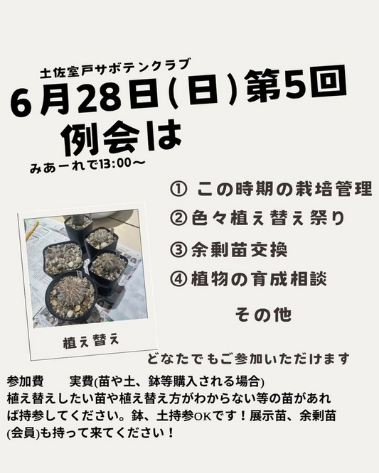 土佐室戸サボテンクラブが第五回定例会2026を開催、植え替え祭りや余剰苗交換を実施
