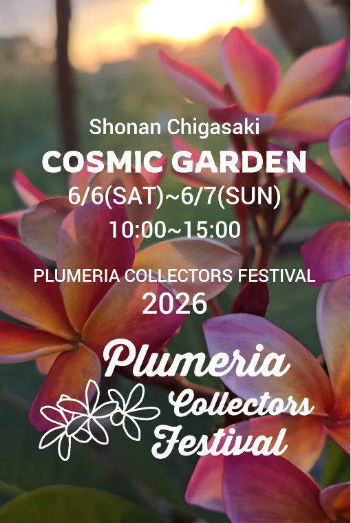 puamelegardenがプルメリアコレクターズフェスティバル2026を開催、販売会とフォトコンテストを実施