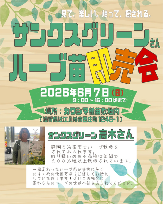 カワシマ種苗でサンクスグリーンさんハーブ苗即売会2026を開催、珍しいハーブ苗が集結