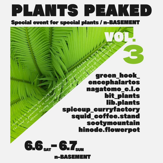 PLANTS PEAKED at n-BASEMENT VOL3が北九州で開催、希少ソテツとコーデックスが集結