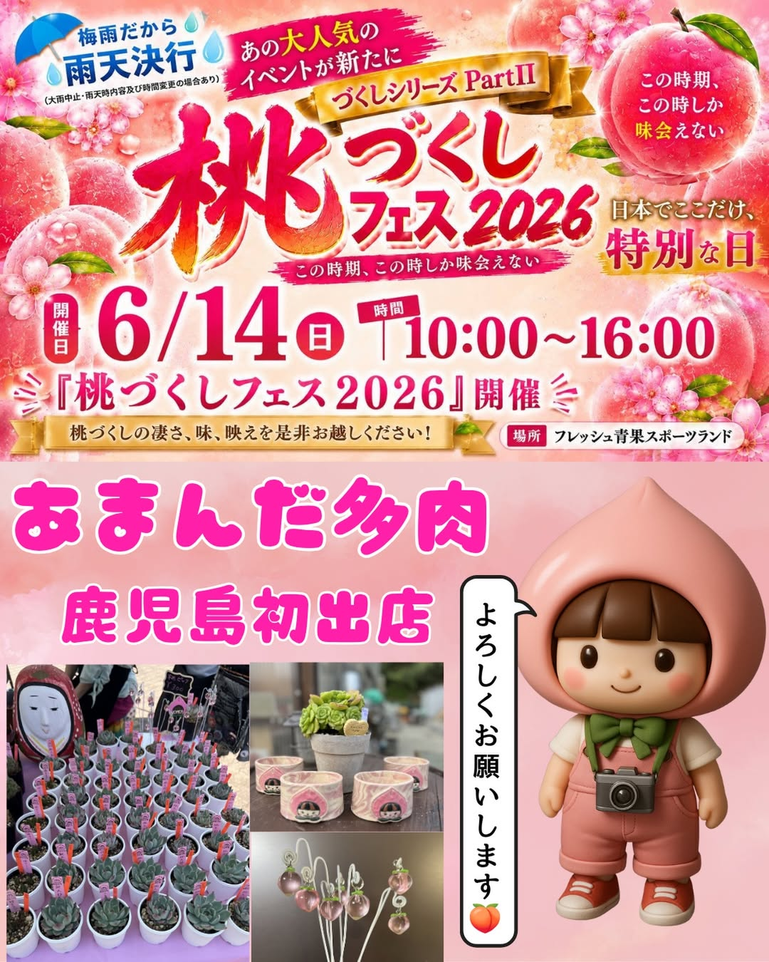 桃づくしフェス2026が鹿児島で開催、朝日の桃直売とあまんだ多肉の初 桃づくしフェス2026が鹿児島で開催、朝日の桃直売とあまんだ多肉の初