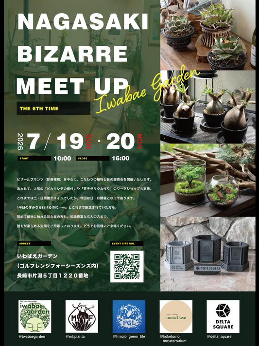 NAGASAKI BIZARRE MEET UP THE 6TH TIMEが長崎で開催、珍奇植物と鉢とワークショップが集結