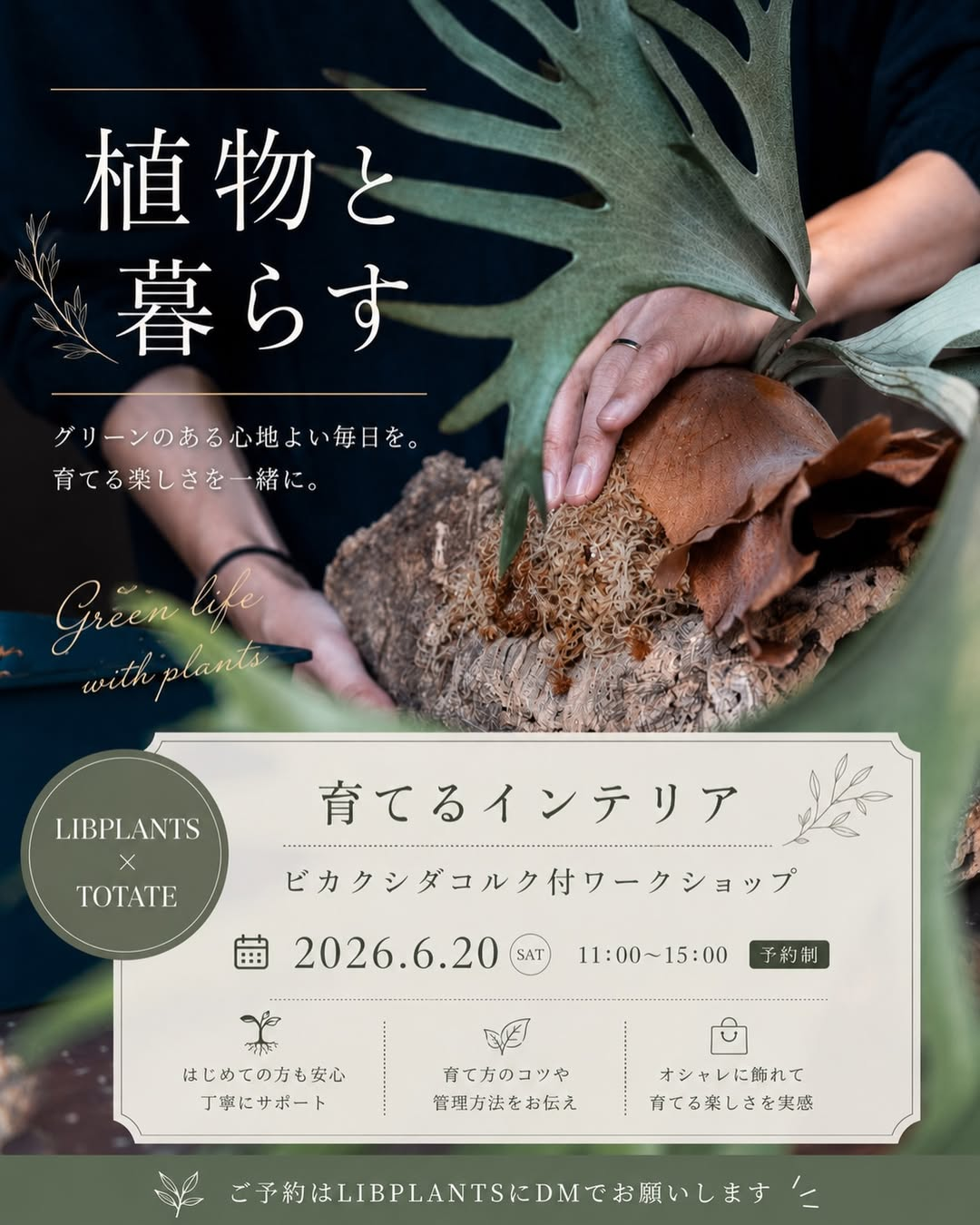 LIBPLANTSとTOTATEがビカクシダコルク付ワークショップ2026を開催、福岡で株とコルクを選ぶ体験企画