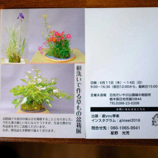 根洗いで作る草もの盆栽展2026が日光で開催、6度目の展示会で即売品も展開