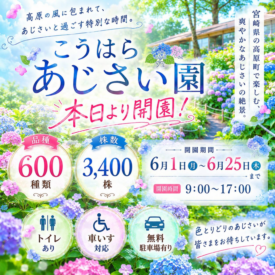 こうはらあじさい園2026が宮崎県高原町で開園、約600種類3400株の紫陽花を観賞