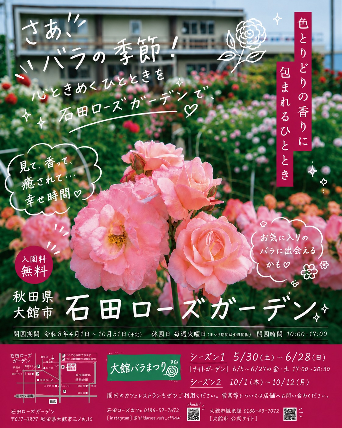 石田ローズガーデン2026で大館バラまつりを開催、ナイトガーデンも金土限定で実施