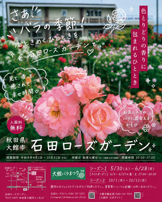 石田ローズガーデン2026で大館バラまつりを開催、ナイトガーデンも金土限定で実施