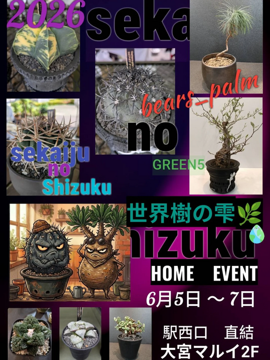 世界樹の雫Shizuku HOME EVENT2026が大宮マルイで開催、多肉植物と塊根植物の展示販売を実施