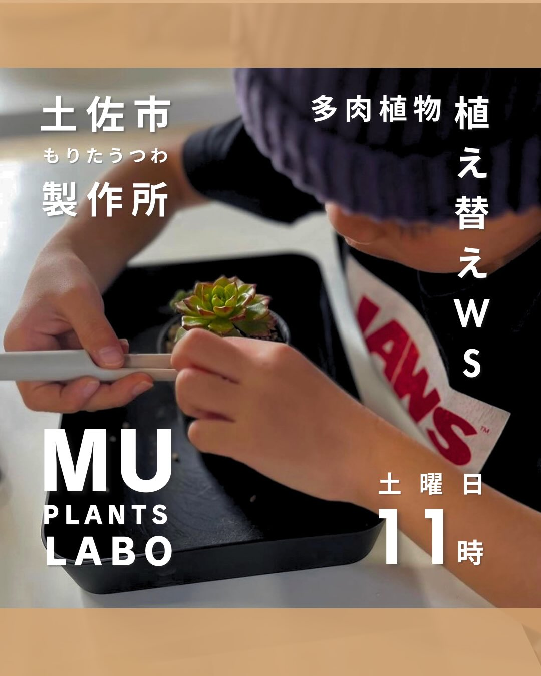 もりたうつわ製作所が多肉植物植え替えワークショップ2026を開催、鉢と植物を選ぶ寄せ植え体験