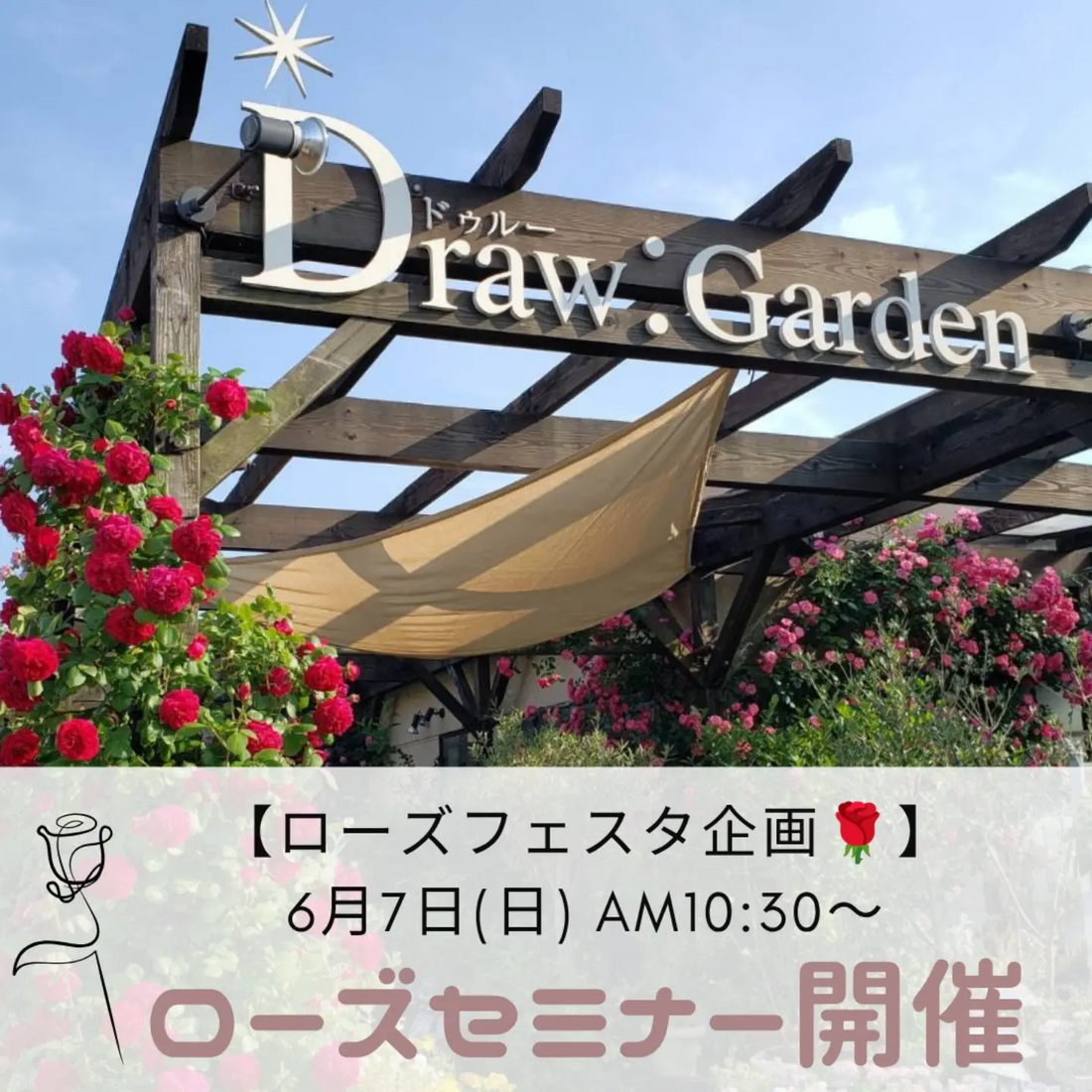 Draw Gardenがローズセミナー2026を開催、咲き終わったあとのバラ管理を無料で解説