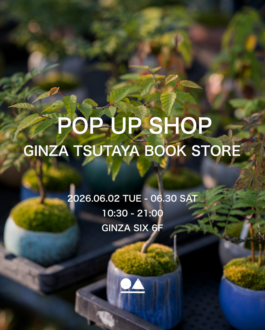 石木花POPUP2026が銀座蔦屋書店で開催、ミニ盆栽と紫陽花と限定バッグを展示販売