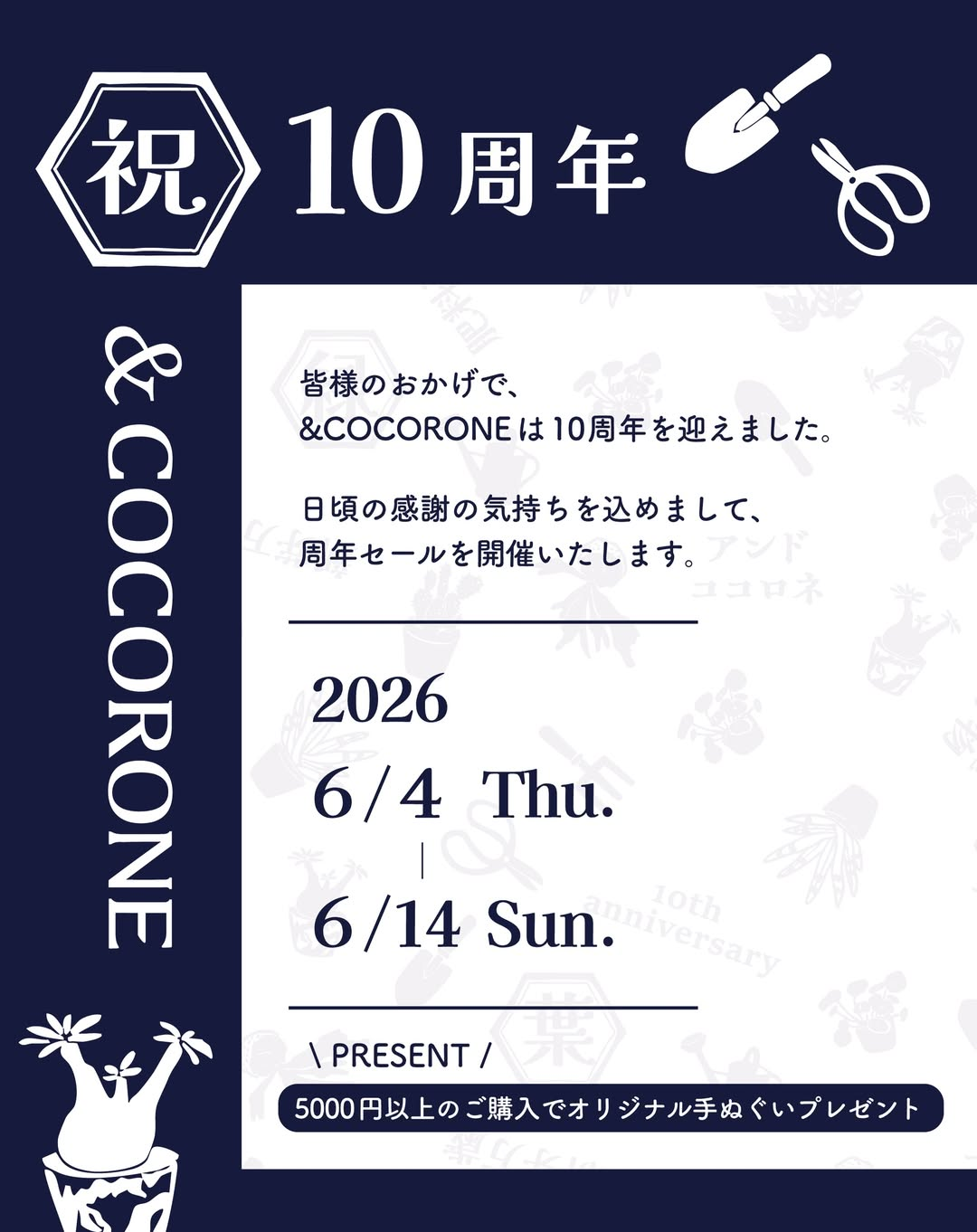 アンドココロネが10周年セール2026を開催、5000円以上購入でオリジナル手ぬぐいを進呈