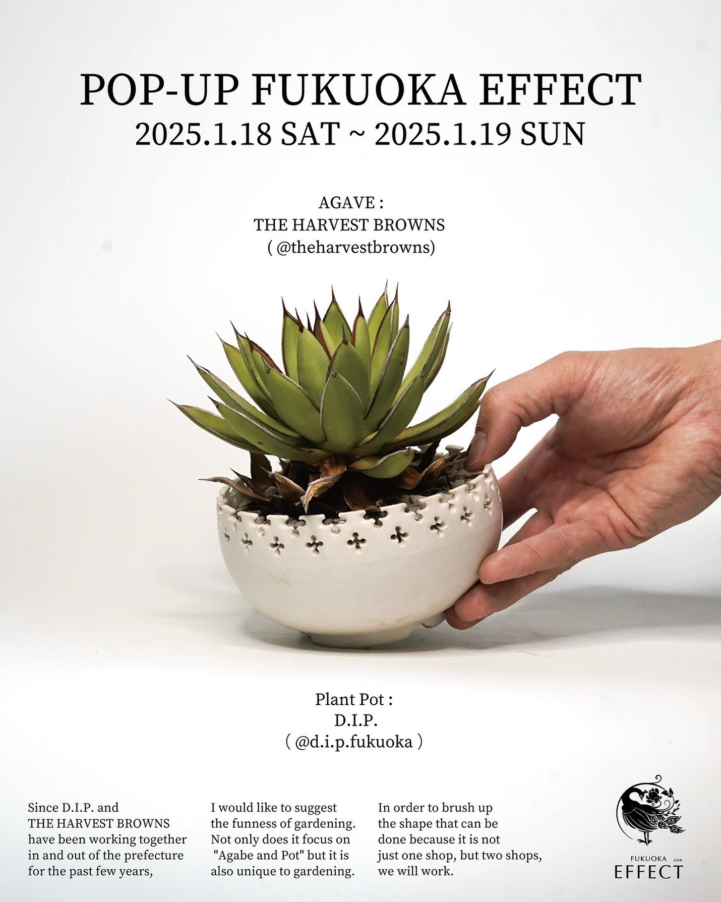Joh_Work_Plants　アガベ D.I.P.とTHE HARVEST BROWNSが福岡で初コラボPOP-UP開催、新作樹脂鉢と